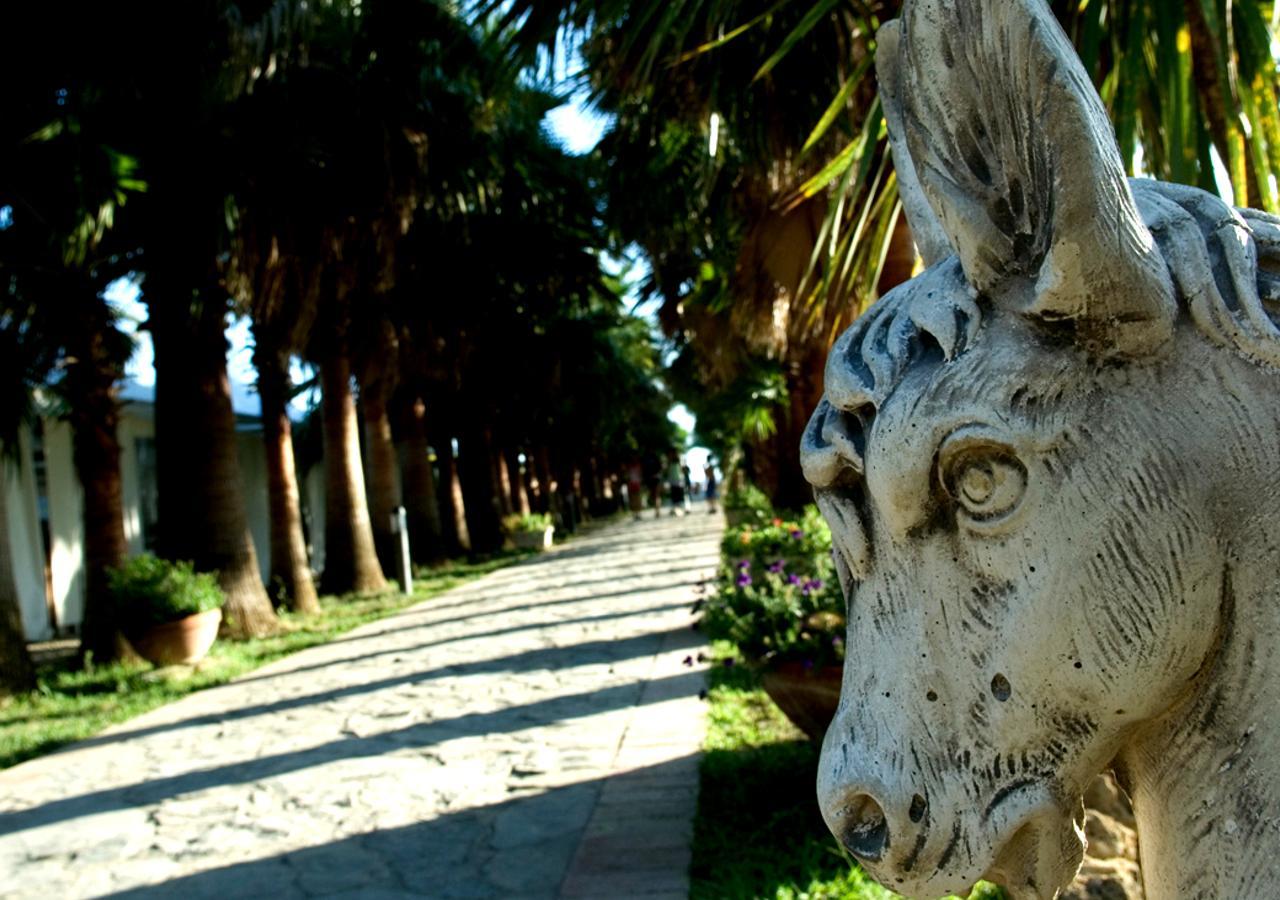 Cilento Resort Villaggio Velia Marina Di Casal Velino Exterior foto